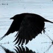 James Fredal's photo