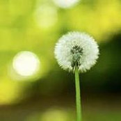 An Drea's photo
