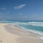 Kim DiPietro's photo