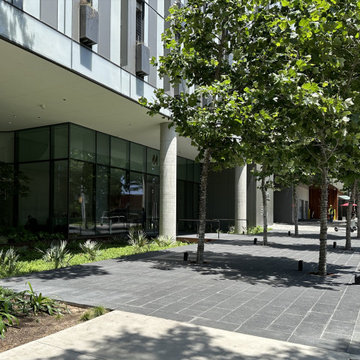 44 East