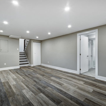 Basement Remodeling