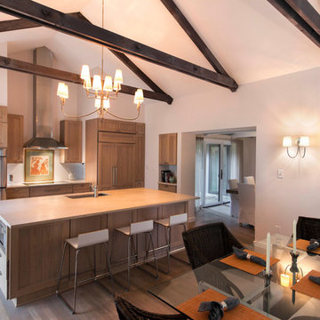 Contemporary Kitchens
