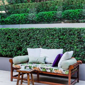 Bellevue Hill
