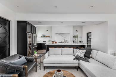 Living room - modern living room idea in Indianapolis