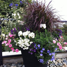 planters