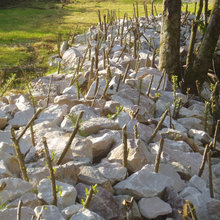 Stream Erosion