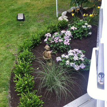Summer Blooms