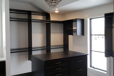 Transitional gender-neutral carpeted and beige floor walk-in closet photo in Other with flat-panel cabinets and black cabinets