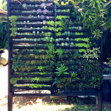 Hilo Living Wall