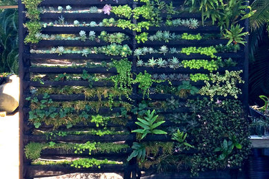 Example of an island style patio design in Hawaii