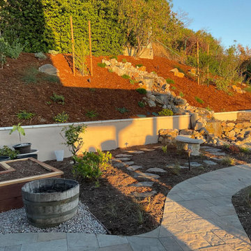 Xeriscape & Native Garden with Waterfall