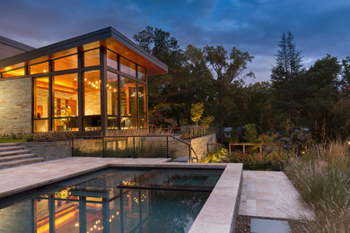 Inspiration for a small modern front yard stone and rectangular infinity pool remodel in DC Metro