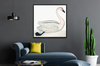 Dera Design Photos