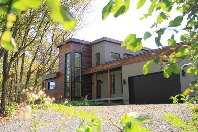 Inspiration for a contemporary home design remodel in Montreal