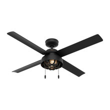 Ceiling Fans