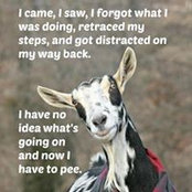 Lorie Joyce's photo