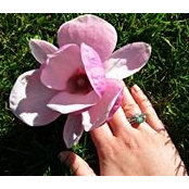 Marta Correia's photo