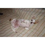 Audra Gutierrez's photo