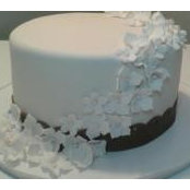 Lori-Ann Betts's photo