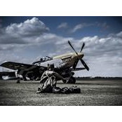 Tracy Hutchens's photo