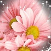 Dawn Willis's photo