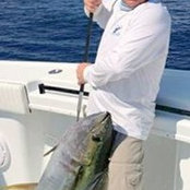 Kevin Hester's photo