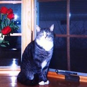 Maureen Cziryak's photo