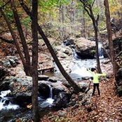 Sarah Oh's photo