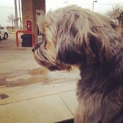 Justin Bryant's photo