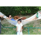 Aarohi Kay's photo