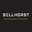 Sellhorst Security & Sound