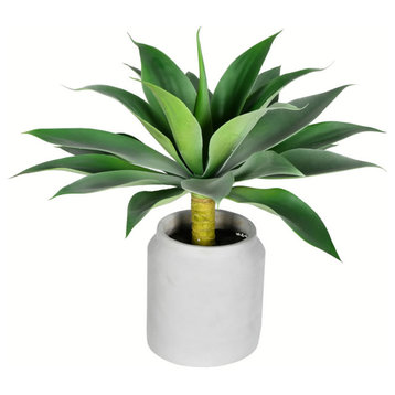 Vickerman 18" Potted Agave