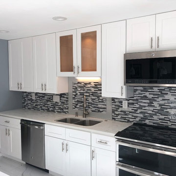 Noristown contemporary kitchen