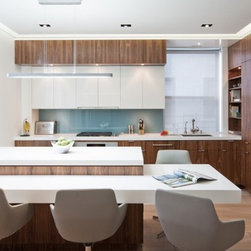 Contemporary Kitchen Cabinets - Products