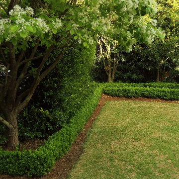 Residential Landscape Design | Curved Boxwood Border