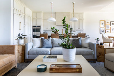 Living room - living room idea in Dallas