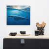 Dreamy Blue Whale Ocean Sunset Glory Rays Wildlife Photo Canvas Wall Art Print, 16" X 20"