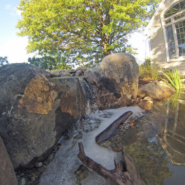 Pond Reconstruction & Remodel