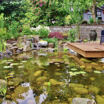 Ecosystem Ponds