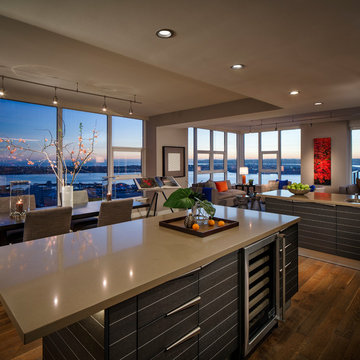San Diego Modernized Coastal Ocean Condo