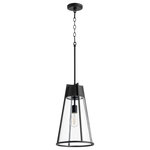 QUORUM INTERNATIONAL - QUORUM INTERNATIONAL 827-69 1-Light Pendant Light, Noir w Clear - QUORUM INTERNATIONAL 827-69 1-Light Pendant Light, Noir w/ ClearProduct Style: TransitionalFinish: Noir w/ ClearDimension(in): 18.75(H) x 11(W)Bulb: (1)100W Medium Base(Not Included)Diffuser Material: GlassShade Color: ClearUL Type: Damp