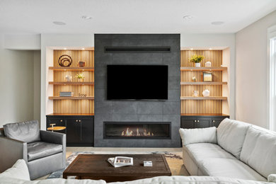 Example of a living room design in Minneapolis