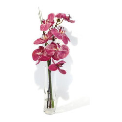 Fuchsia Phalaenopsis Orchid Branch Bud Vase - Products