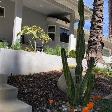 Contemporary Sloped Yard