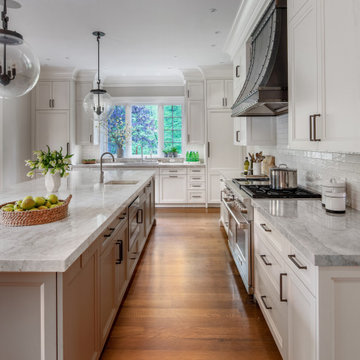 NEW CANAAN CT - Weimaraner