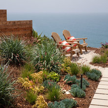 Beach House
