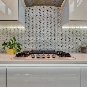 Modern kitchen cabinets with Glass facades in North Dallas