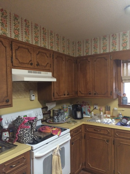 70's kitchen Remodel