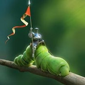 RaNa Hamama's photo