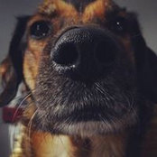 Euan Garrido's photo